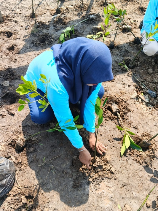 Restorasi 19.000 Mangrove Desa Lontar